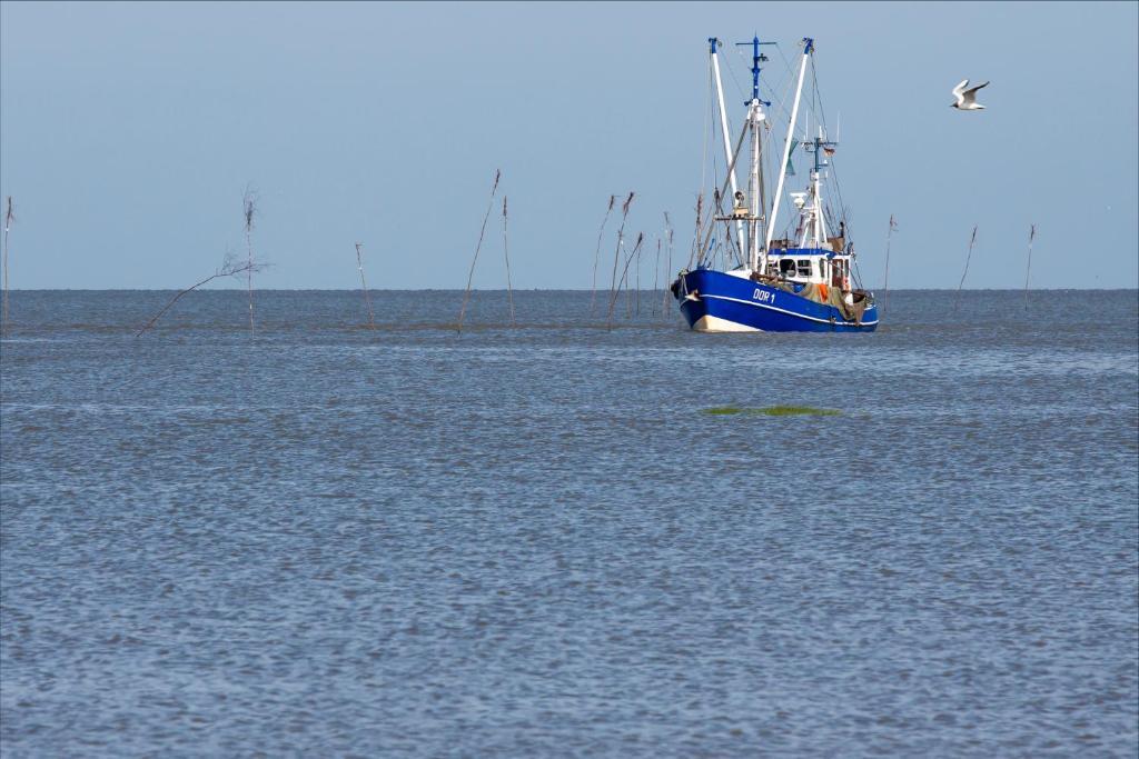 Cuxland-Ferienpark Nordseebad Dorum Εξωτερικό φωτογραφία